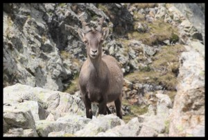 IMG_1516